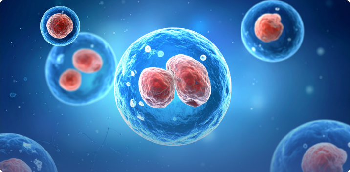 Evaluating Stem Cell Therapy in The Woodlands With Clinical Perspective