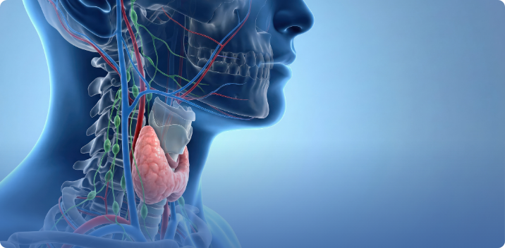 Thyroid Malfunction Symptoms and the Real Reason Labs Matter for The Woodlands, TX, Patients