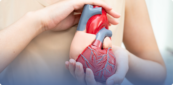 What to Ask Before Starting a Coronary Heart Disease Prevention Plan in The Woodlands, TX